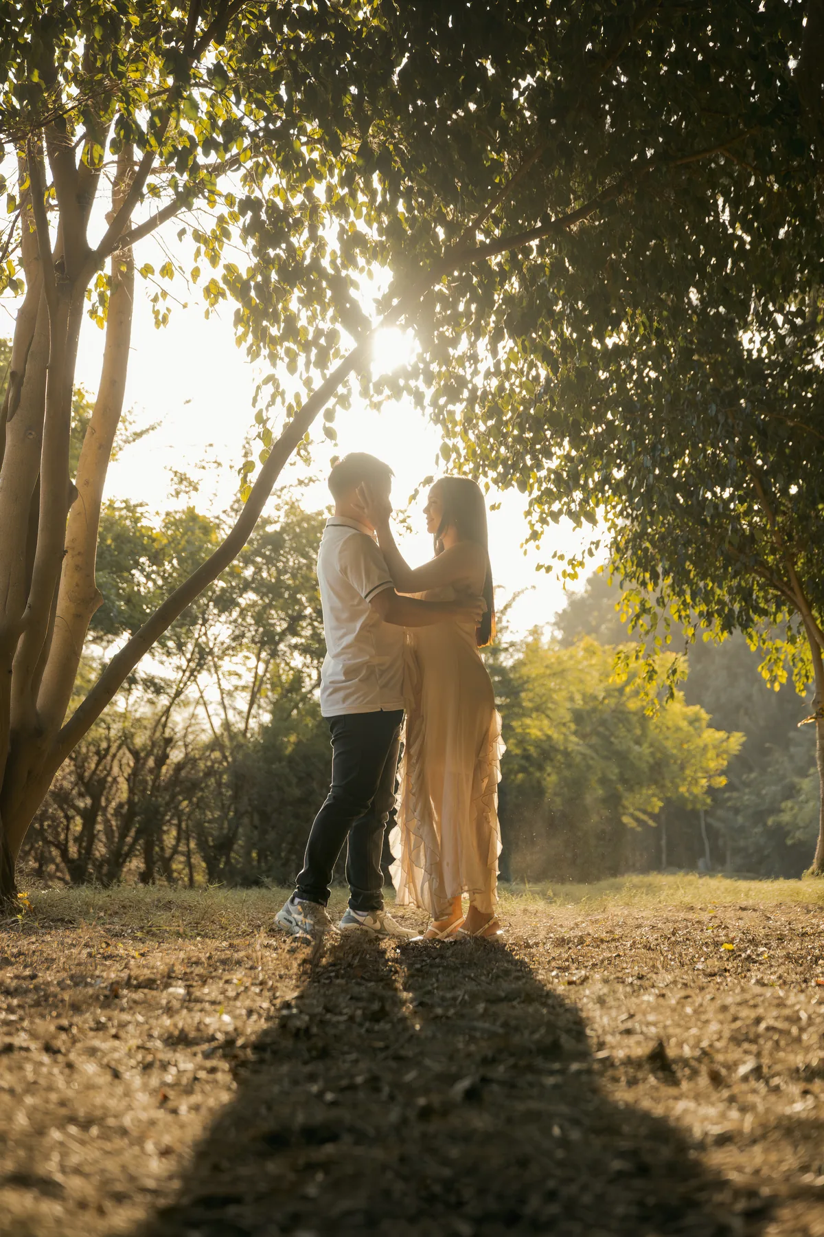 Pareja frente a frente bajo un árbol iluminado a contraluz