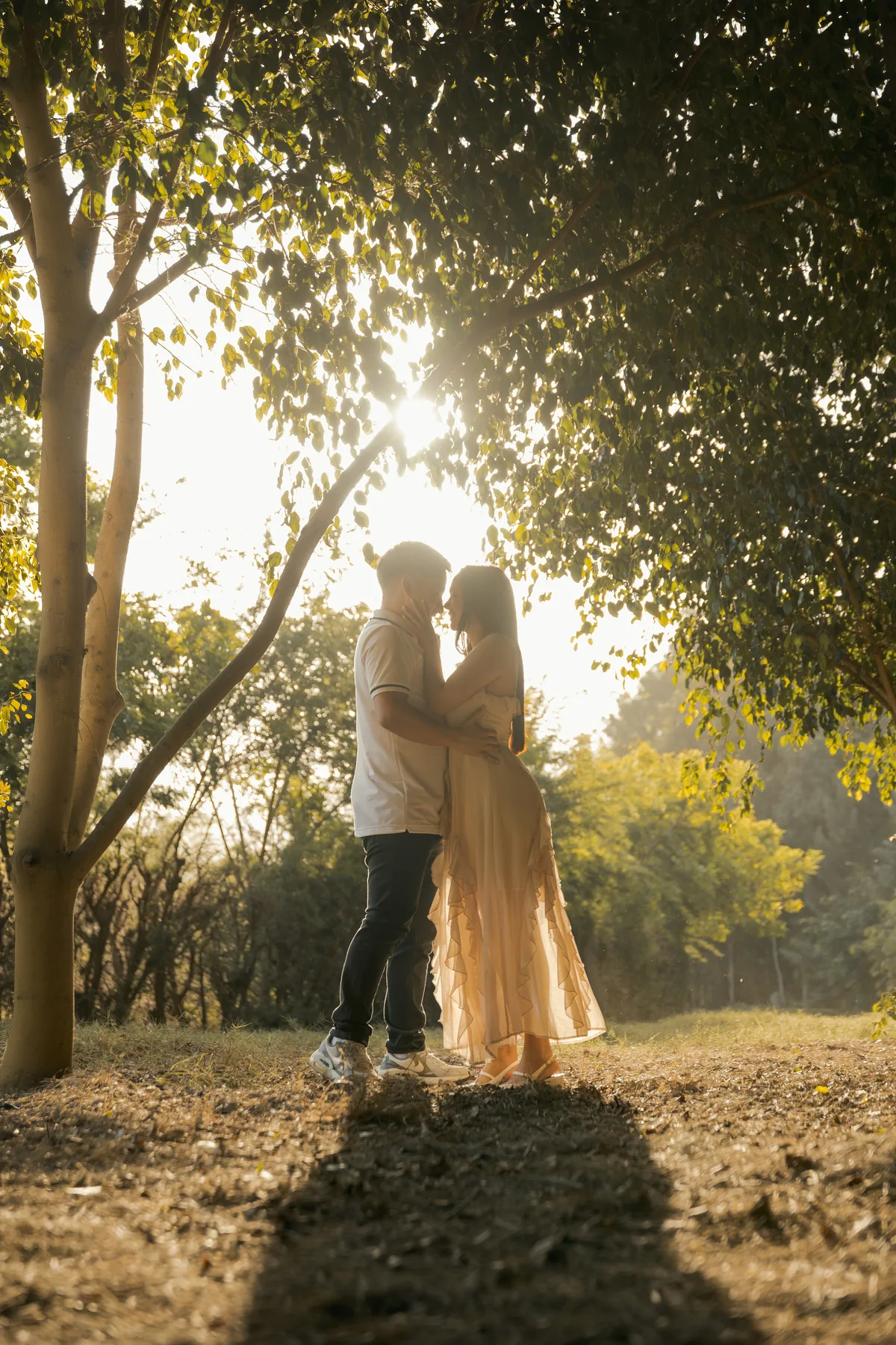 Abrazo de pareja en el bosque con sombras largas sobre el suelo